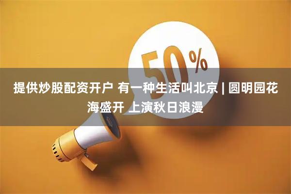 提供炒股配资开户 有一种生活叫北京 | 圆明园花海盛开 上演秋日浪漫